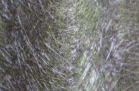 Whatcote fibreglass roof work